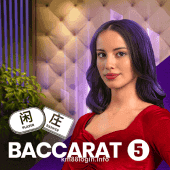 Baccarat 5 Game Interface